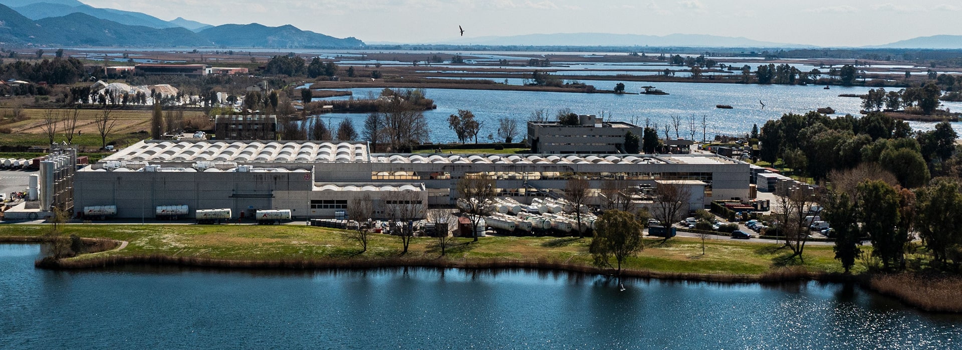 Filippo Berio Heritage